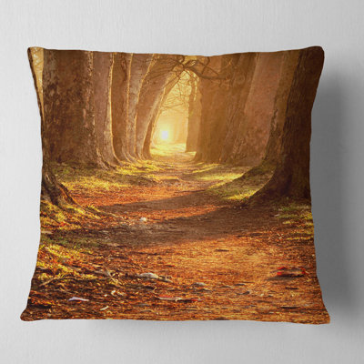 Reversible Throw Pillow