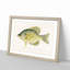 Calico Bass by Sherman F. Denton - Picture Frame Graphic Art Print-55680282-55680284
