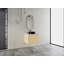 Meuble-lavabo mural avec lavabo en céramique, 2 portes à fermeture en douceur