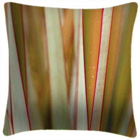 Grass 3 - Ella Lancaster Cushion