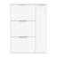 12 Pair Shoe Storage Cabinet-707601444