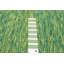 Sienna Green Rug 5'1" x 7'11"