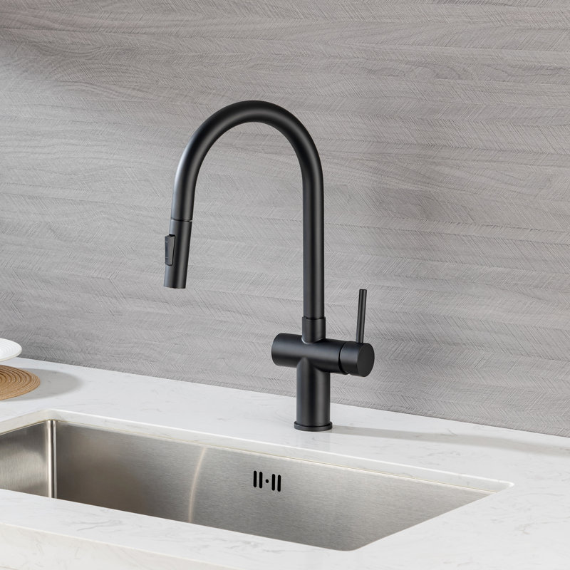 Robinet de cuisine Rainlex, Noir mat