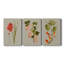 «Botanical Array IV», ensemble de 3 impressions sur toile tendue-1396970184