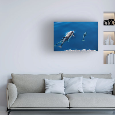 Luis Godinho Brincadeira Canvas Art