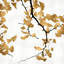 «Ginkgo in Gold II», impression sur toile-20939540-72032331-72032332