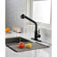 Robinet de cuisine noir mat avec douchette extractible, évier à poignée simple et bec rotatif à 360 degrés. Corrosion et rouille pour une durabilité à long terme. Contrôlez facilement le débit d'eau à une poignée. Acier inoxydable-1881941358