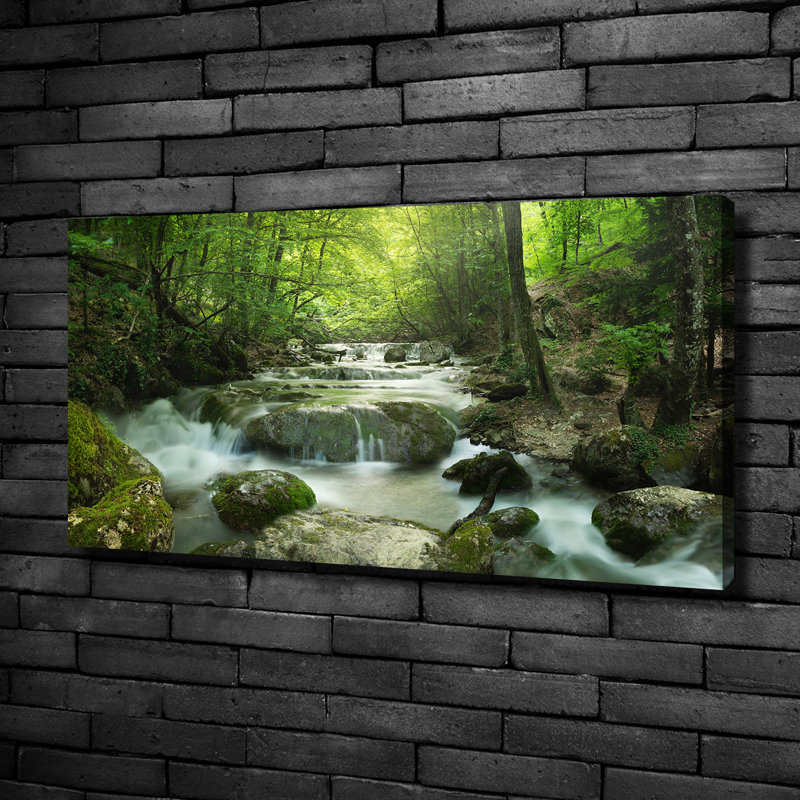 Waterfall In The Forest - Print, Wrapped Canvas, 50cm H x 100cm W x 2cm D