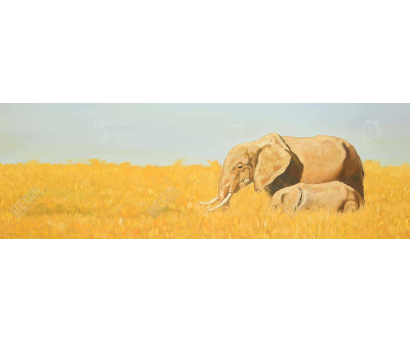 Éléphant et son petit éléphant