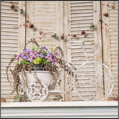 Rustic Bicycle Metal Wire Wall Planter Basket