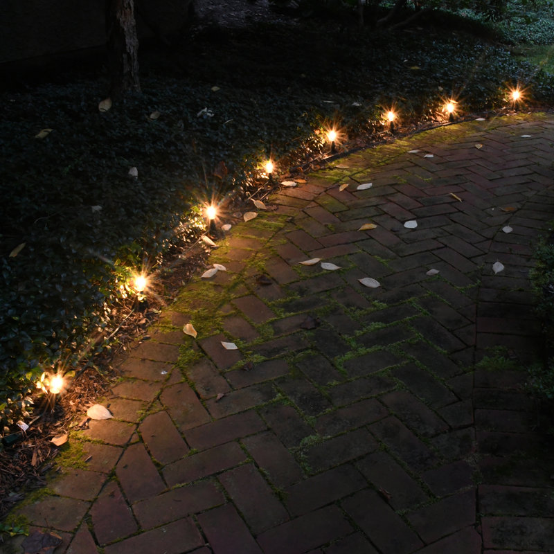 Electric Pathway Lights with 8 LED Bulbs, White