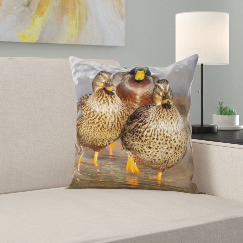 Coussin canard