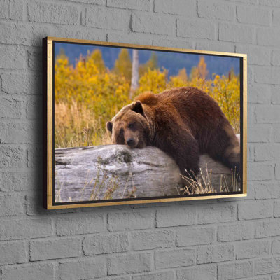 Adorable Bear Resting on a Log Print in a Framed Canvas for a Perfect Blend of Fun and Farmhouse Home Decor