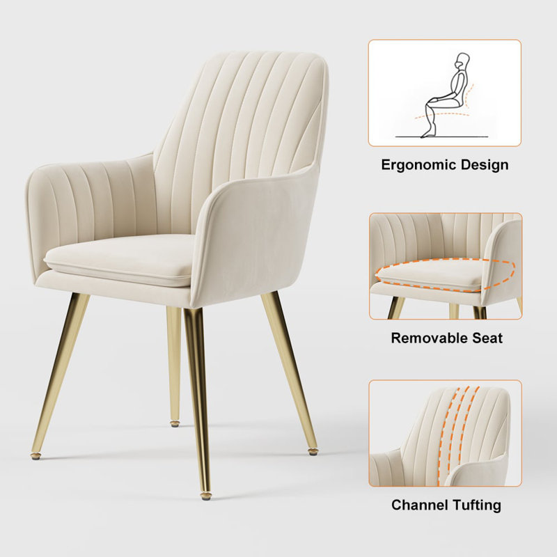 Dining Chairs Set of 2 Modern Beige Velvet Dining Chair with Cushioned