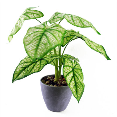 40 cm H Faux Foliage and evergreen Plant in Plastic Planter