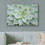 «Green Rose Succulent Southwest» sur-99543757