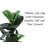 39 " H Faux Fiddle Leaf Fig Tree in Plastic Pot
