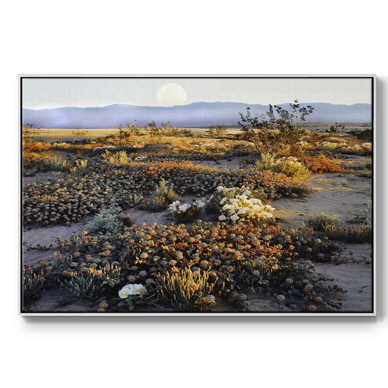 Anza Borrego, désert encadré sur toile, Cadre blanc, H 17 po x l 25 po x P 2 po