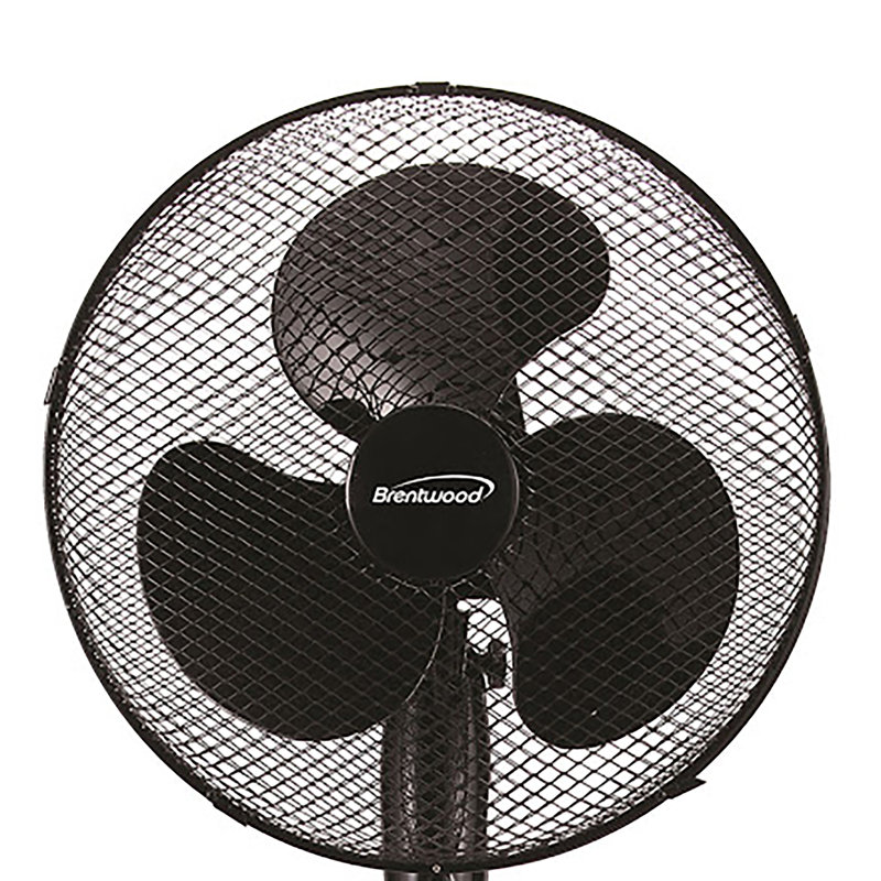 Kool Zone 16" Oscillating Fan- Black, Black