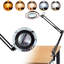 Shiena Adjustable Novelty Lamp