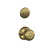 Antique Brass