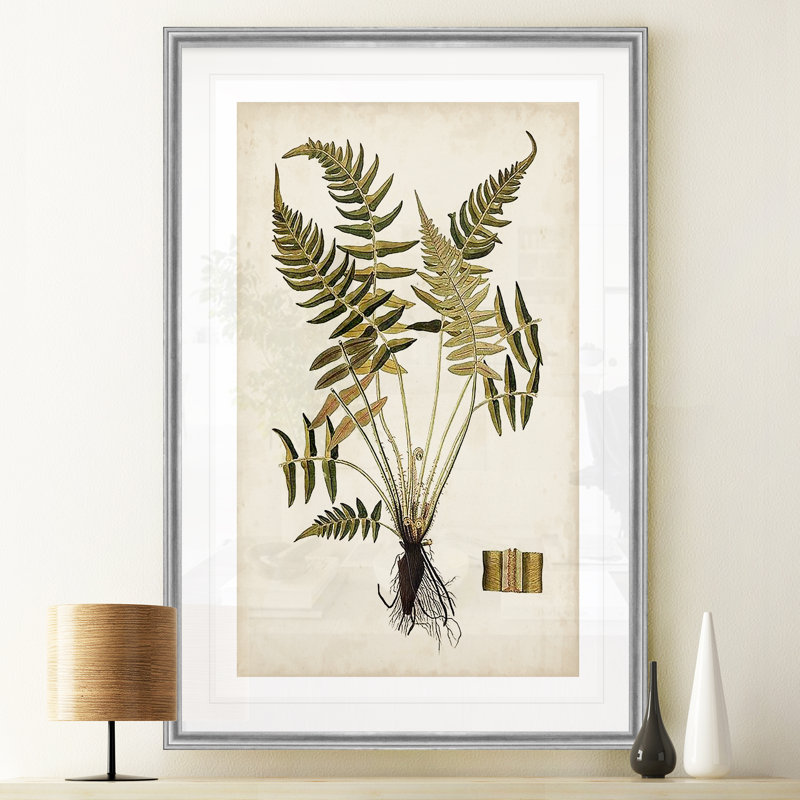 « palm botanique iv »-impression sur toile, H 18,5 po x l 24,5 po x P 1,5 po, Cadre argenté