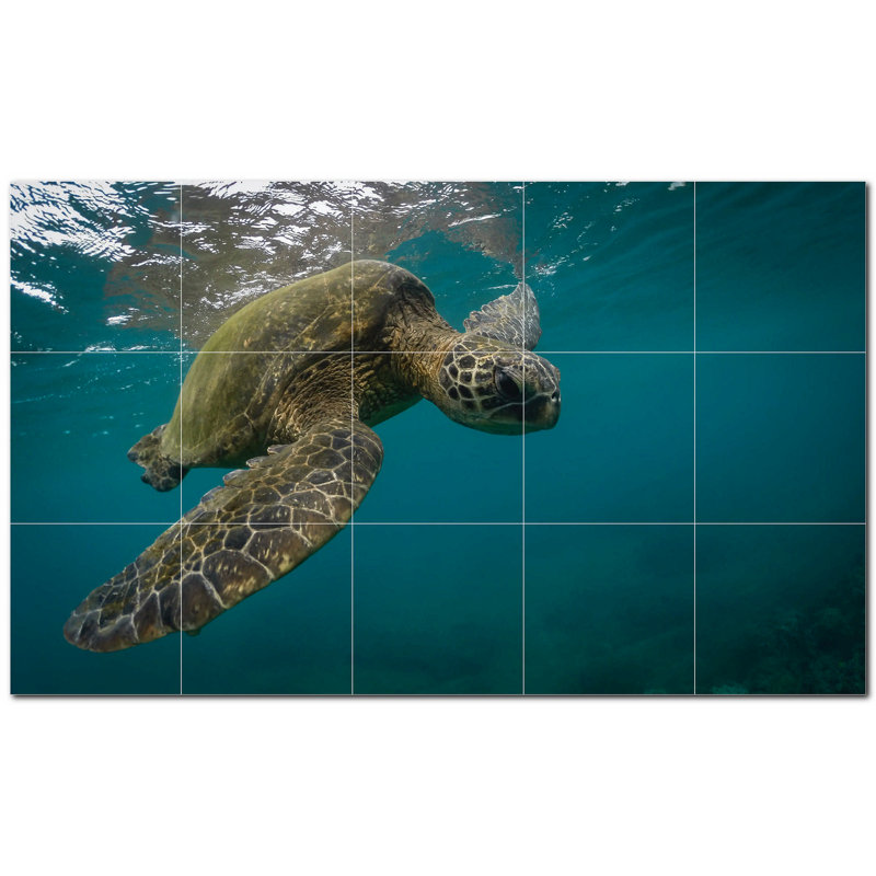 Murale en céramique satinée 8 po x 8 po Turtle Photo