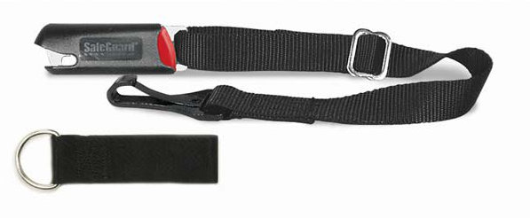 Pet Carrier, Large