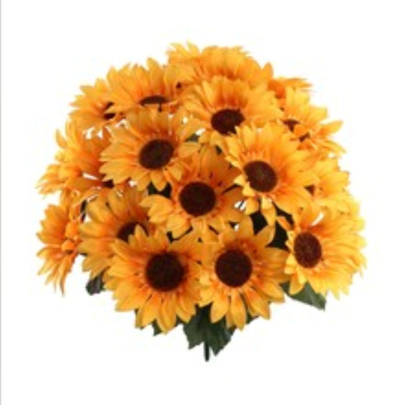 Buisson de tournesol 20 po - paquet de 2