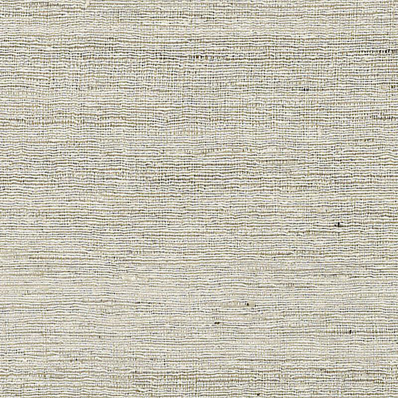 Delhi Fabric