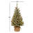 Flocked Fir Tree with LED Lights-1334224386