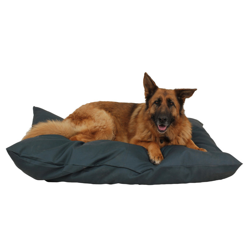 Coussin intérieur / extérieur pour chien Shebang, Très grand (l 54 po x P 44 po)