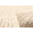 Timeless Cream Rug 5'3" x 7'8"