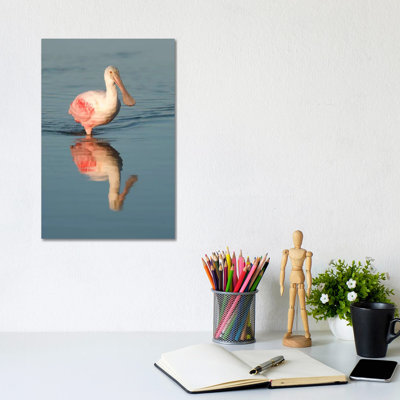Roseate Spoonbill Wading, Fort Myers Beach, Florida by Steve Gettle - Wrapped Canvas Print