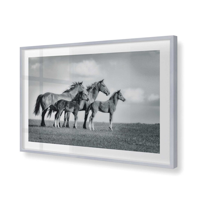 Famille de chevaux sauvages, H 12 po x l 15 po, Famille de chevaux sauvages, Cadre photo argenté
