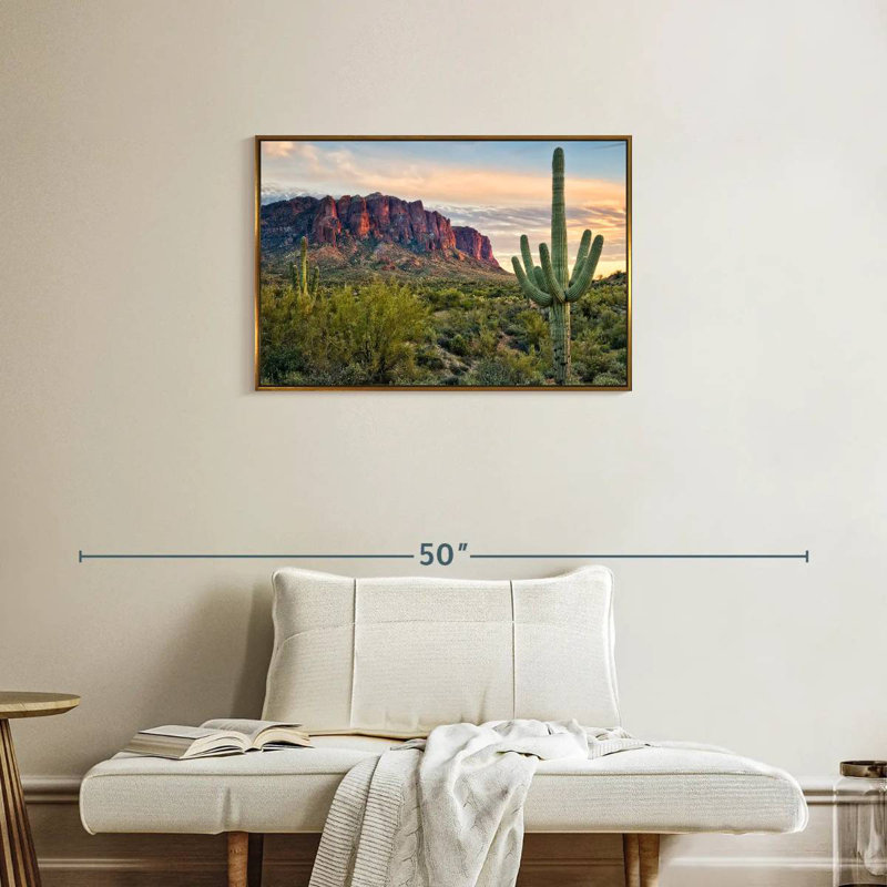 Cactus View II, Cadre flottant doré, 31 po x 21 po