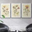 Iridescent Blue Poppy I, ensemble de 3 toiles encadrées sur toile-97793253-97793249