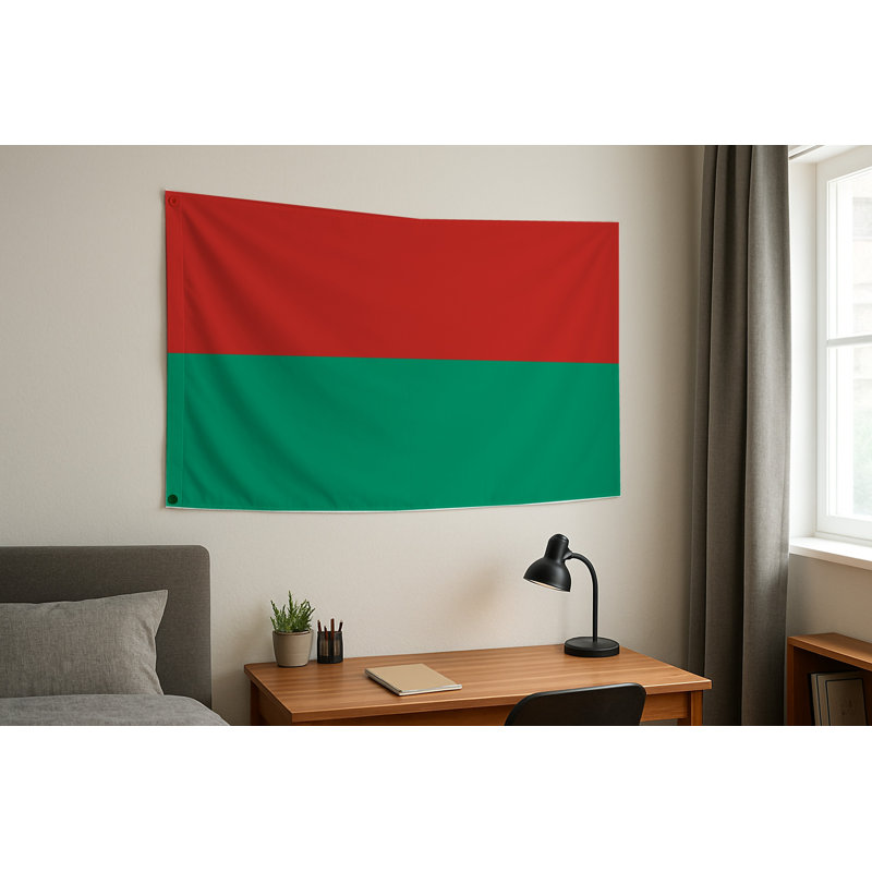 La Paz City Flag — Flag
