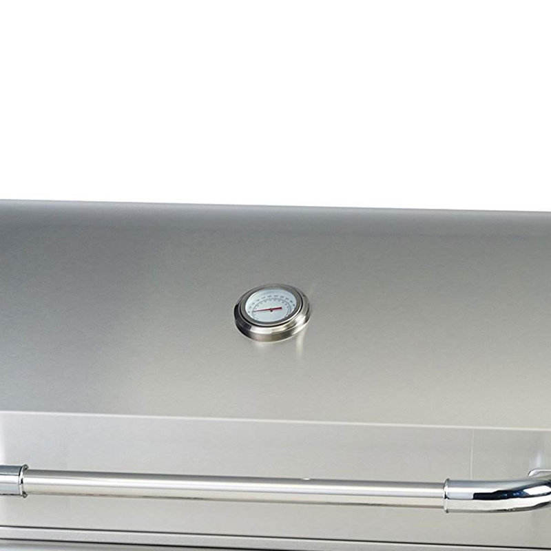 Bull Outdoor Products 4 - Burner Built-In Liquid Propane Gas Grill