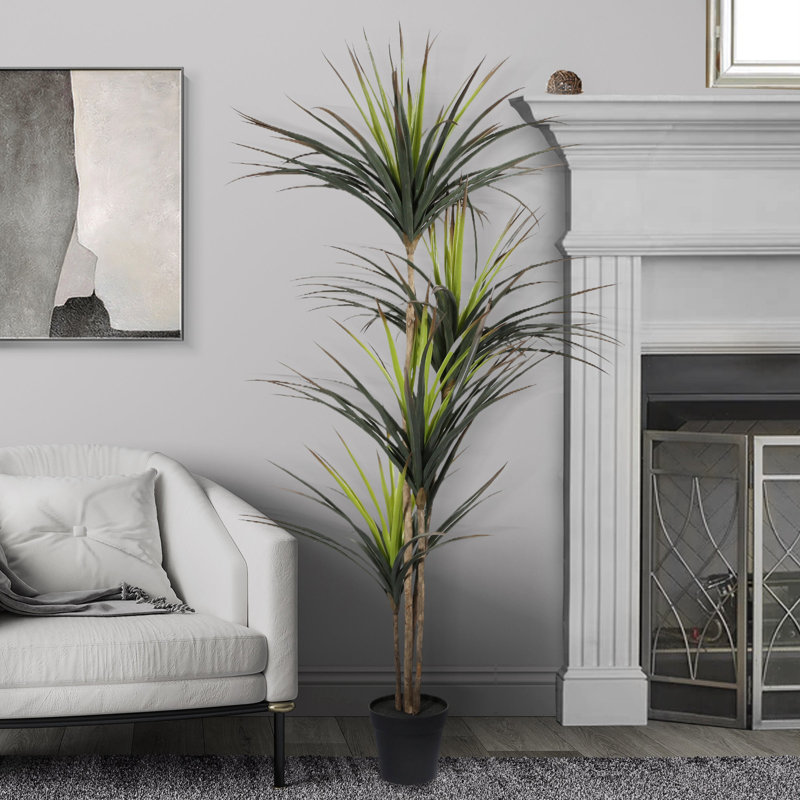 Arbre Dracaena Marginata artificiel en pot 67 po