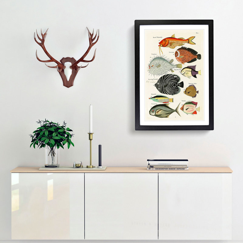 East Indies Fish Illustrations Fol. 5 hh by Louis Renard - Picture Frame Graphic Art Print, Black Framed