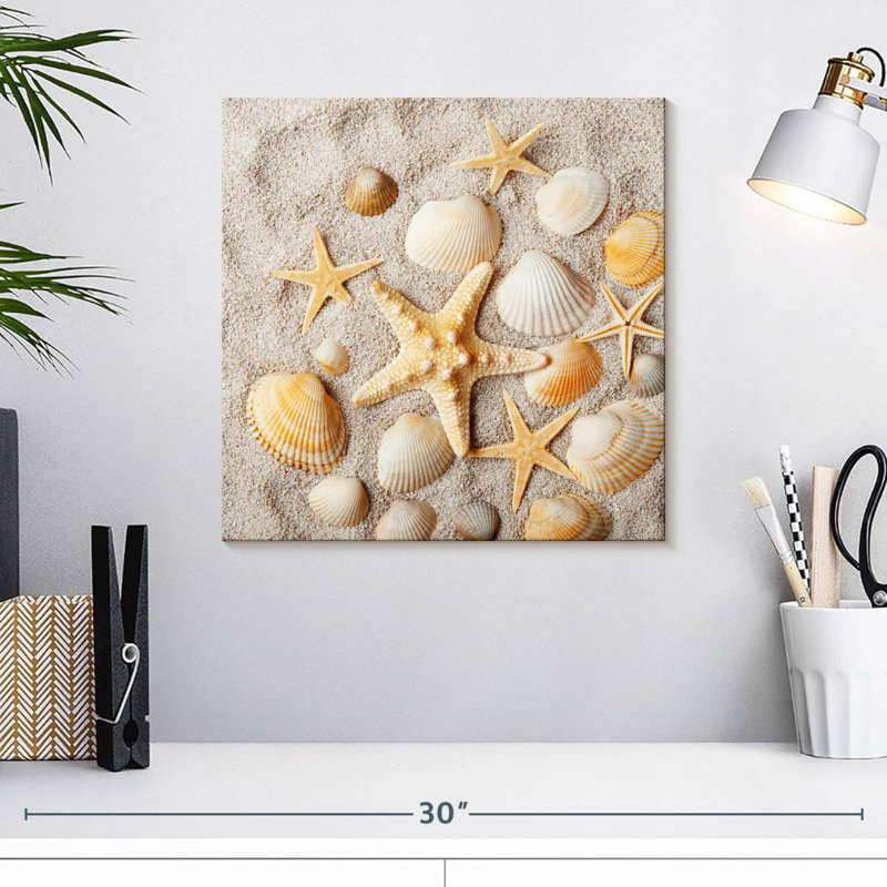 Aletra Decorative Seashells, 16" H x 16" W