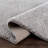 Francique Indoor Rug-808734932