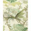 Kravet Design - W4201-535-906276307