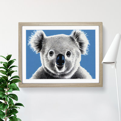 Alluring Koala Bear - Single Picture Frame Print