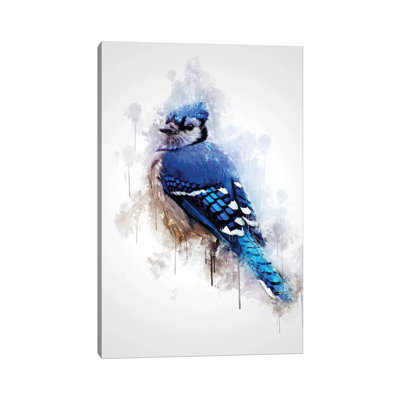 Blue Jay Bird by Cornel Vlad - Wrapped Canvas Graphic Art