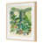 Maple Framed