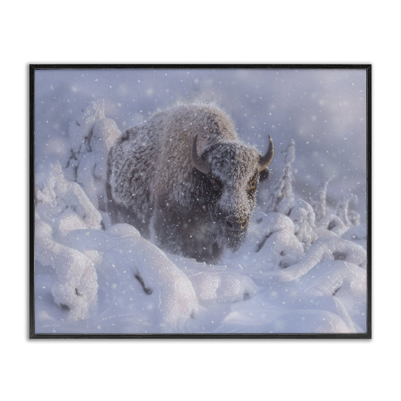 Bison d'hiver en giclée profonde, design par Collin Bogle, H 11 po x l 14 po, Giclée encadrée noir minuit