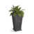 Gris graphite