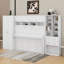 Murphy Bed With Closet, Drawers And Shelves-262038993-262038995